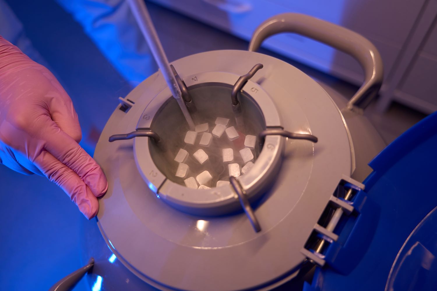 Egg freezing